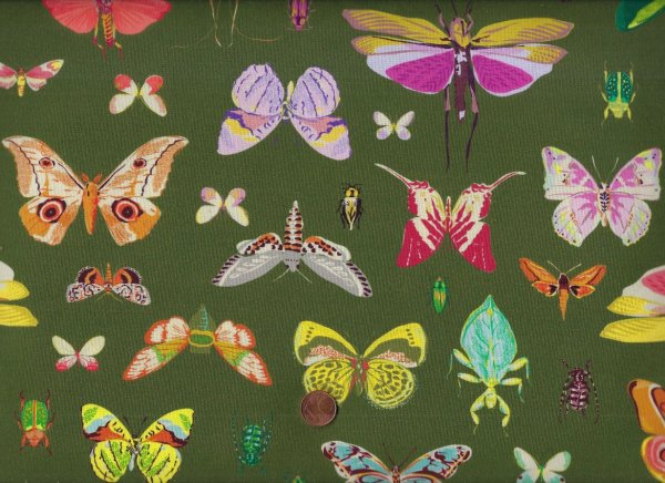 Tamara Kate Insectarium On Display olive