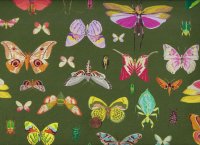 Tamara Kate Insectarium On Display olive