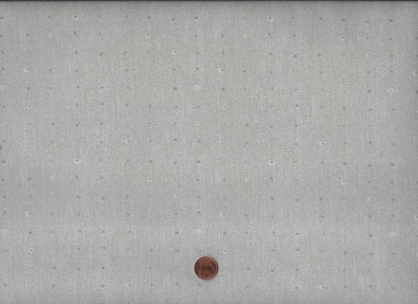 Seedling seeds Dove 70cm