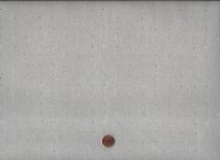 Seedling seeds Dove 70cm